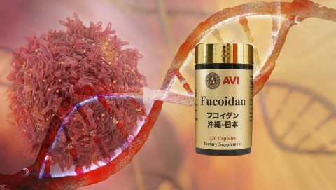 Khả năng hỗ trợ ngừa ung thư của hoạt chất Fucoidan ở rong nâu