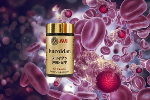 Phòng tránh bệnh tật nhờ sử dụng fucoidan mỗi ngày